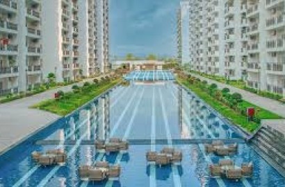 Central Park Flower Valley