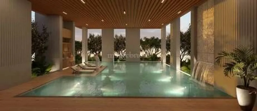 Unity The Amaryllis Phase 2