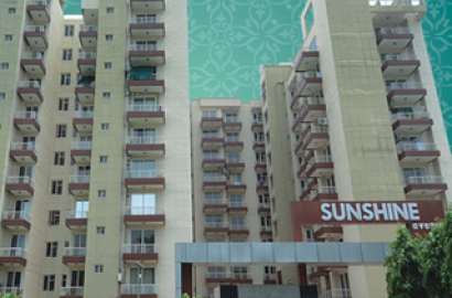 Sunshine Avenue